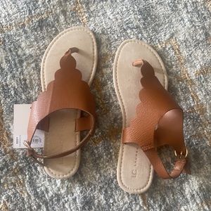 LC Lauren Conrad Scallop Thong Sandal 7-8